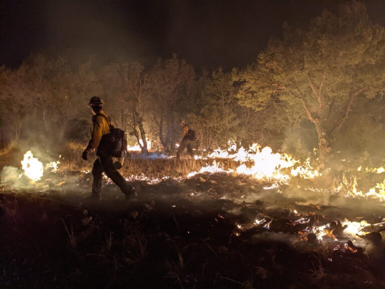 Wildland Fire Medic: Beginners Guide to Working on the line (EMPF/EMTF)